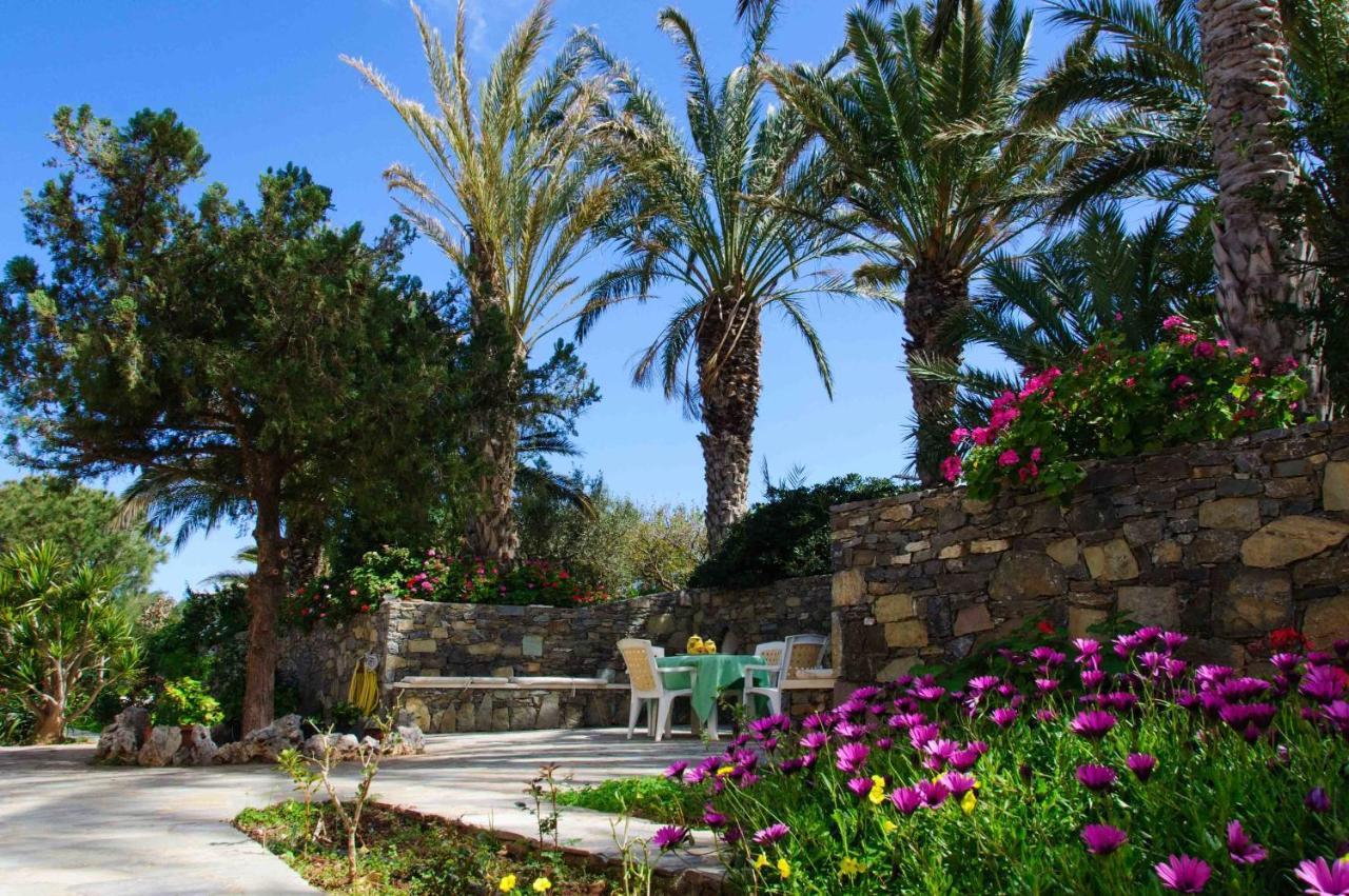Carissa House In Crete Leilighet Sitía Eksteriør bilde